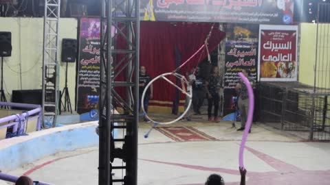 Egyptian Female Plays Flying Acrobat