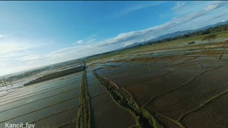the beautiful view of the rice fields // wonderful Indonesia