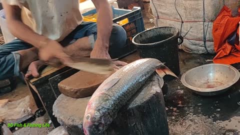 Most Popular Big Batta Fish Cutting Skills | Fish Cutting Live