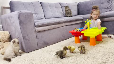 Funny_Baby_and_Ducklings_Playing_With_Water_-_Funny_Video
