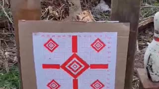 22 ARC grouping with a suppressor through a KAK Industries barrel