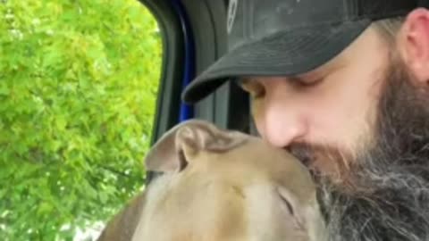 Adorable pup shows love to owner with cuddles