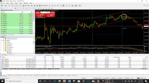 FOREX TRADER MAKE $1,100 IN ONE DAY 😱 | FOREX TRADING