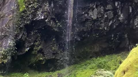 Panther creek falls Gifford Pinchot forest Washington