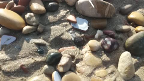 Find gemstones in the beach