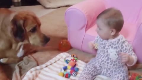Dogs are the best friend of Babies 05