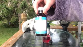 Micro dosing 100% pure gum spirit turpentine for parasites