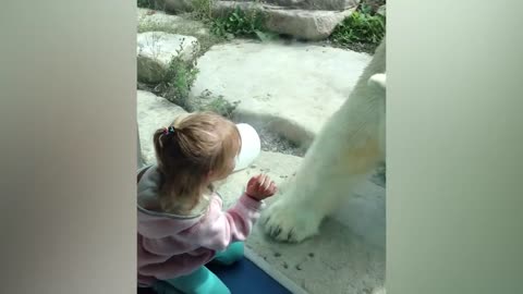 Funny Babies At The Zoo A