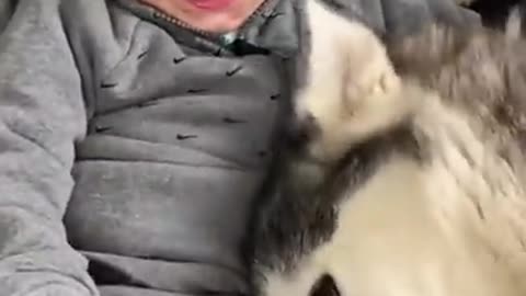 The Full 4 Year Story Of My Husky & Baby Becoming Best Friends!!