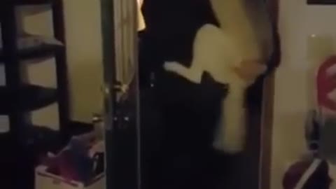 The way this dog greets his owner when he gets home
