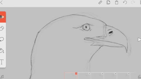 Choose A Pencil Tool To Draw The Eagle's Mouth.