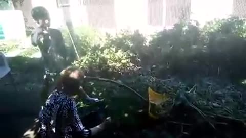 Spring raking shown in the hardest way by a 6 year old