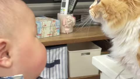 【First Contact】A cat trying to kiss a baby2021
