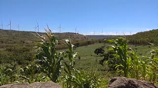 The view of the Sidrap Wind Farm