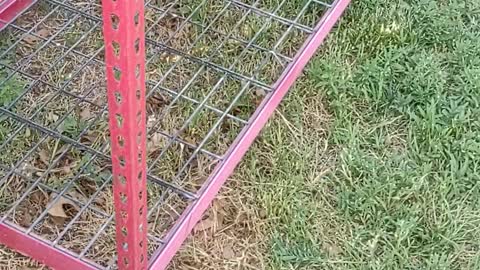 Greenhouse Floor clean & install in 105F temp