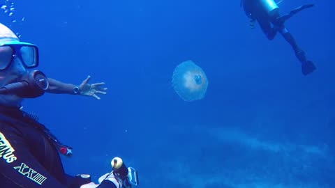 boca chica jelly fish this is very beautyful
