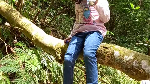 a small meal on a tree branch