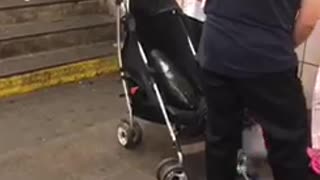 Women with vegetable in baby stroller