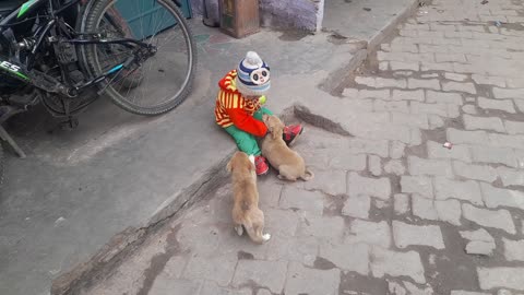 Puppies and Babies Playing Together.