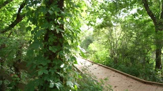 San Bernard National Wildlife Refuge