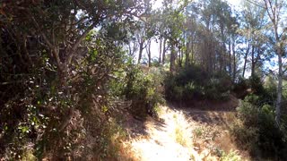 Hiking Presidio Park