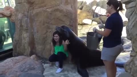 Best sea lion encounter ever