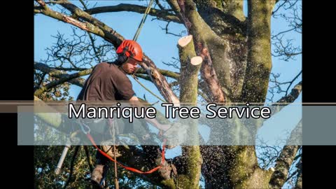 Manrique Tree Service - (682) 342-7896