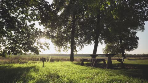 Fall asleep instantly by listening to the sounds of rain and birds chirping.