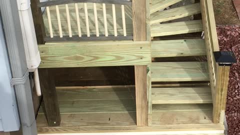 Doggy door and deck