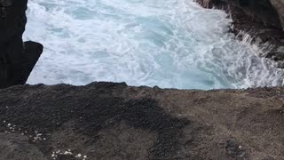 Bridge @ Hanauma Bay Trail