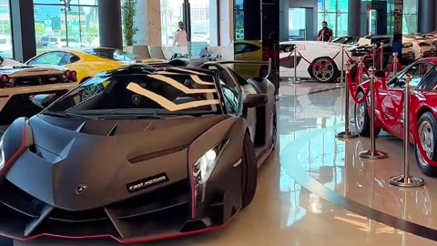 1 Of 1 Lamborghini VENENO