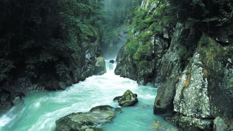 Magical Forest Waterfall