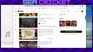 SeaCricket - Birthday Bash 6pm EST