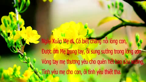 Xuân Vắng Mẹ