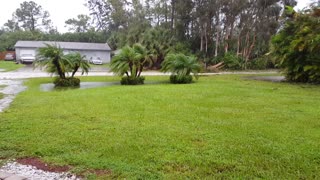 Outside during Florida Hurricane