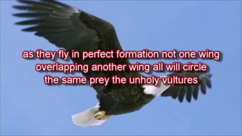 Amightywind Prophecy 39 - ANOINTED HOLY EAGLES, COME FORTH! "Fight against the attacks of the unholy vultures. Anointed Holy Eagles of MINE, I have hidden you safely away from this world's eyes, away from the church systems."