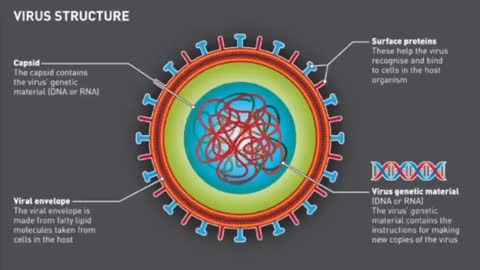 Aajonus Vonderplanitz:: "You can not catch a virus"