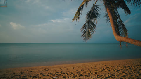 The beach was deserted