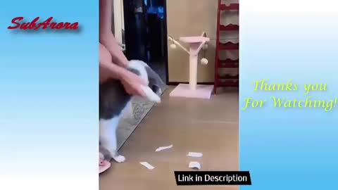Funniest Pranks On Dogs & Cats #2 😆 TRY NOT TO LAUGH 😂 | Funny and Cute Pets: Dogs And Cats