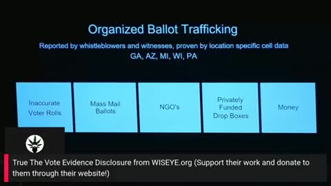 Wisconsin: How They Cheated. Dirty Voter Rolls, Mass Mail In Ballots, Traffickers, NGO’s, Drop Boxes