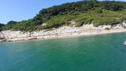 Gulls in the Black sea