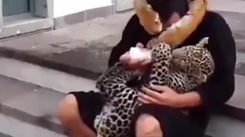 😍 ANIMAL HUGGING HUMAN COMPILATION