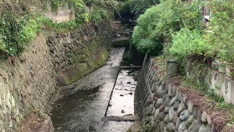 A quiet and clean stream runs through a neighborhood in Kamakura, Japan