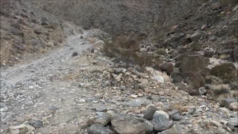 Lippencott Road (Death Valley National Park)