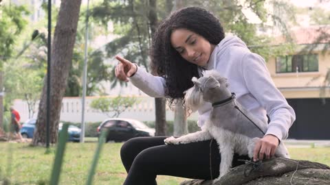 Pet owner spending time with his little dog in a park