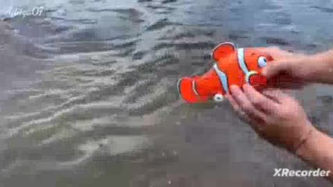 sea animal toys this summer at the shore