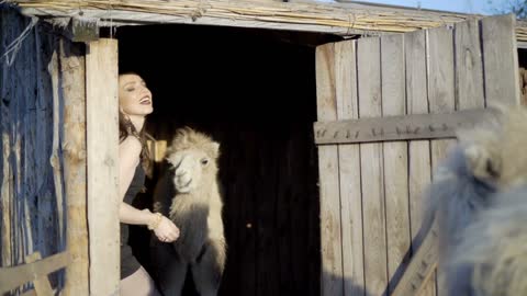 Girl interacts with a camel