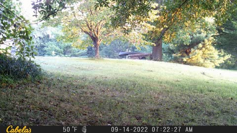 Sep 13-17 Game Cam, Clay County Missouri