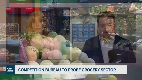 Business Report_ Grocery sector under investigation