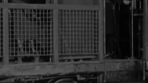 Charlie Chaplin's Rainy Night Bus Fiasco: A Comedy of Commuting Chaos!
